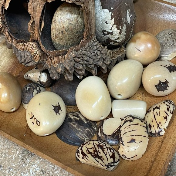 NEW IMPRESSIVE TAGUA BLACK BLUE NATURAL DYED VEGETABLE IVORY NUTS BRACELET - Picture 8 of 9